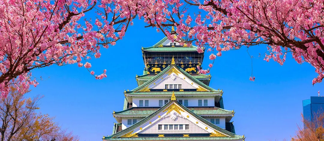 Tradition & Modernity: 11-Day Semi-Guided Japan Itinerary