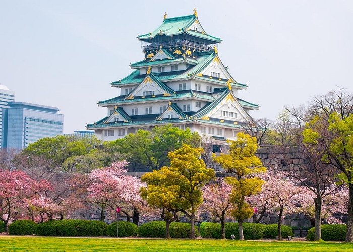 Exploring Kyoto, Japan During Cherry Blossom Season